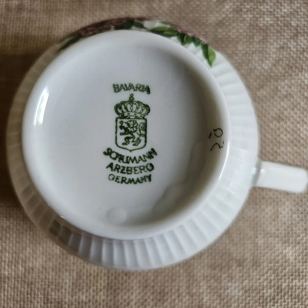 Schumann Arzberg elegant white